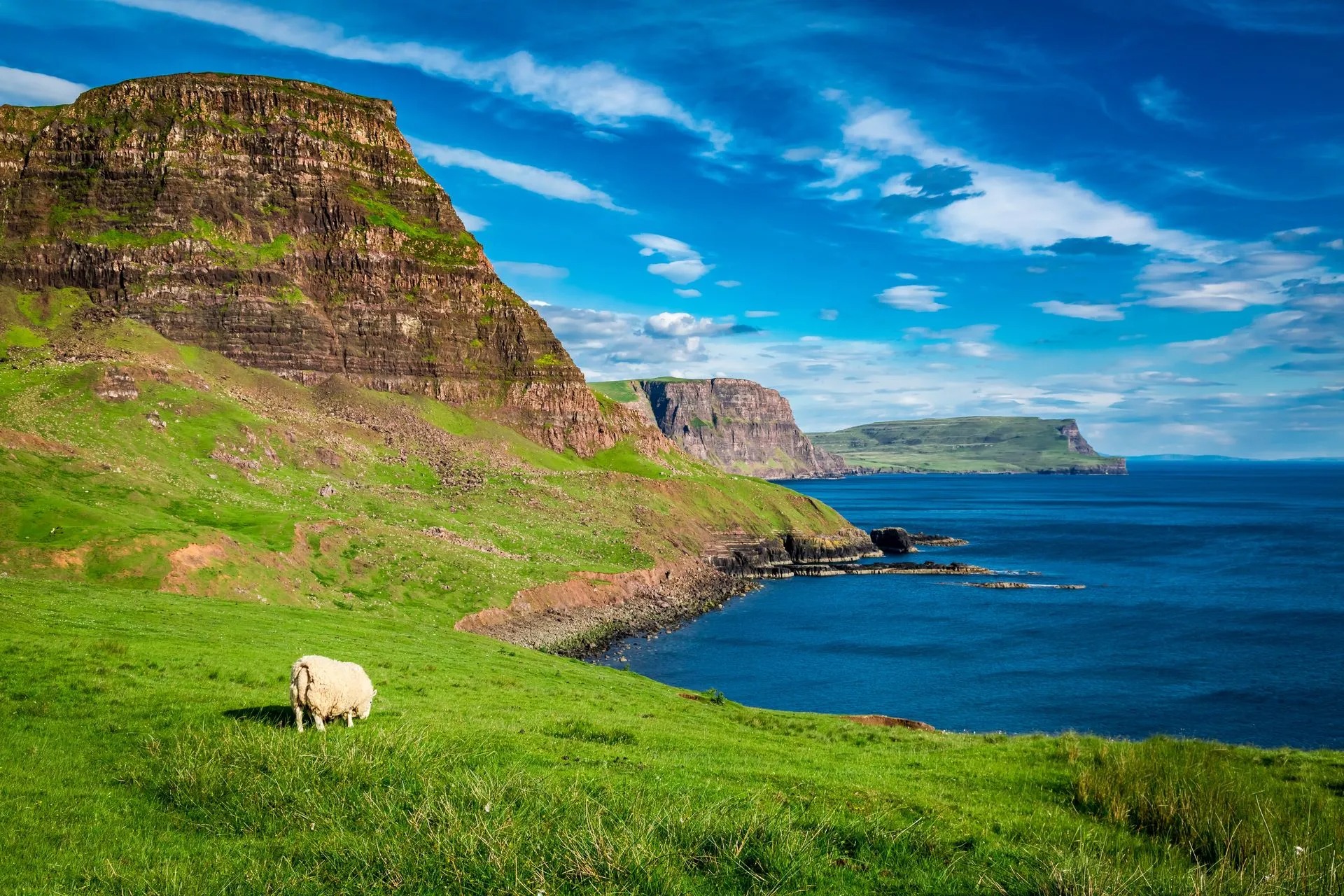 Plan Ahead for Next Year with our 2026 Jones Holidays Leaflet