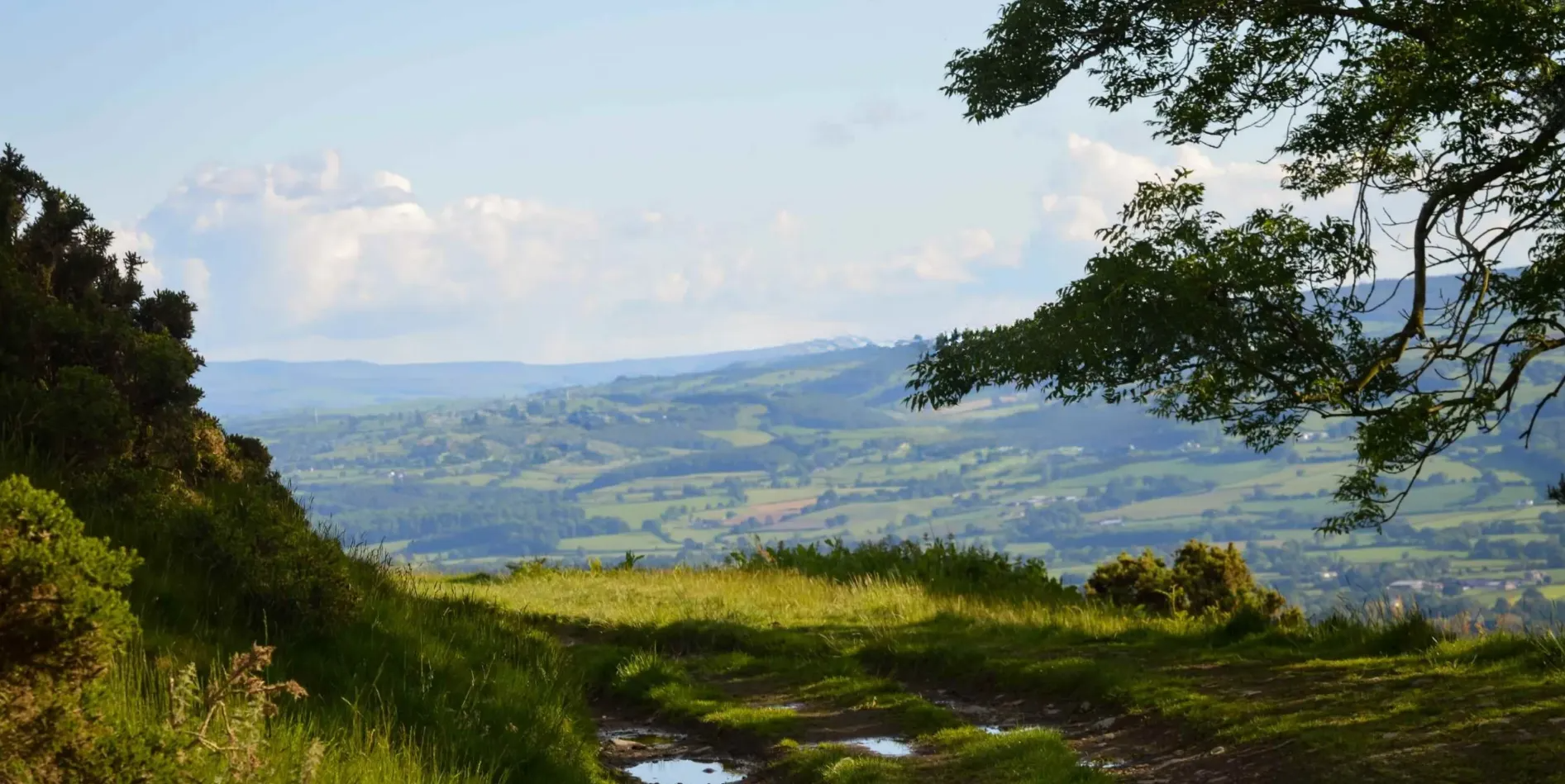 Countryside view