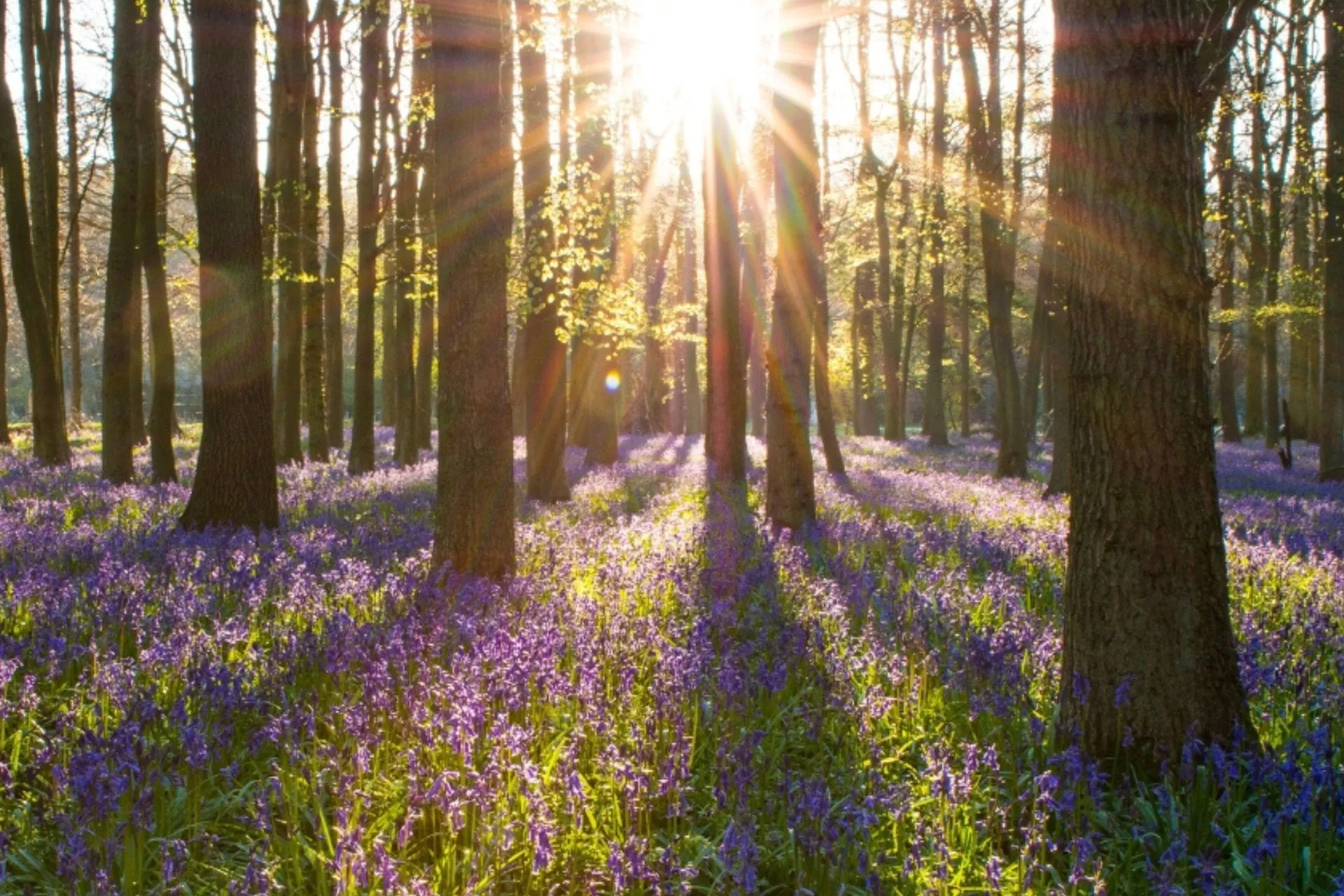 Come and discover the South Downs for yourself