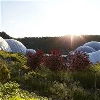 Domes