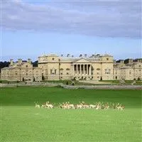 Holkham hall