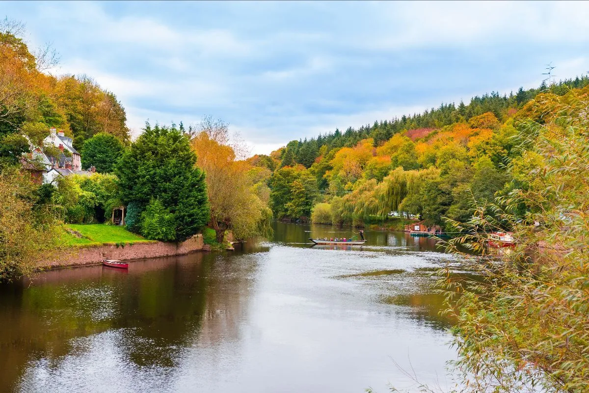 Forest of Dean