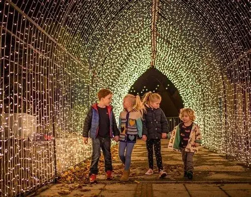 Chester Zoo lanterns